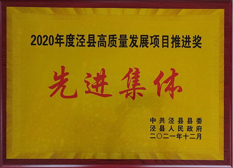 2020年度涇縣高質(zhì)量發(fā)展項(xiàng)目推進(jìn)獎先進(jìn)集休